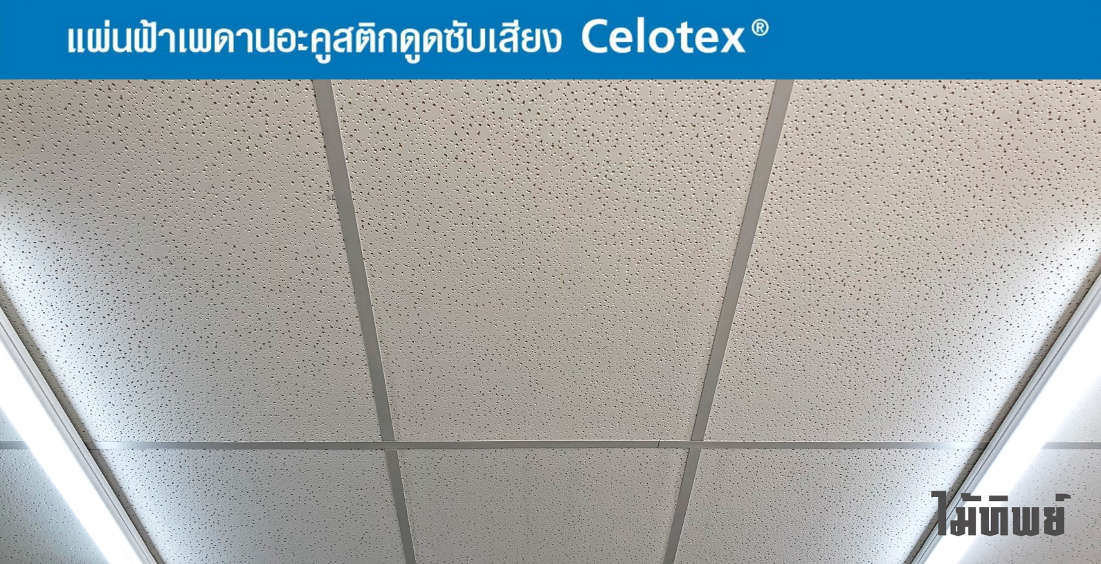 แผ่นฝ้าเพดานอะคูสติกดูดซับเสียง Celotex