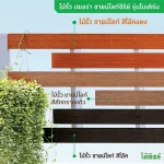 ไม้รั้ว