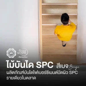 ไม้บันได spc