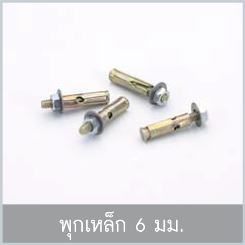 พุกเหล็ก 6 มม.