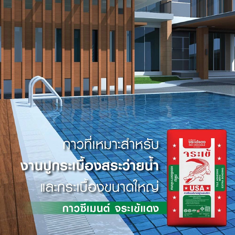 จระเข้แดง ปูกระเบื้องสระว่ายน้ำ