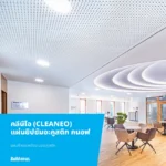 CLEANEO