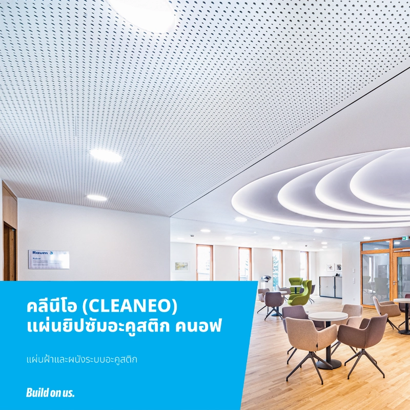 CLEANEO