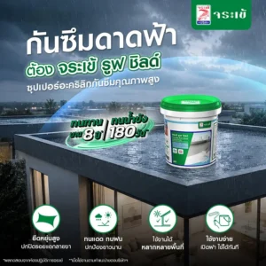 จระเข้ รูฟ ชิลด์